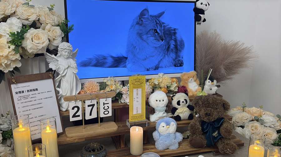 鄂尔多斯宠物单独火化